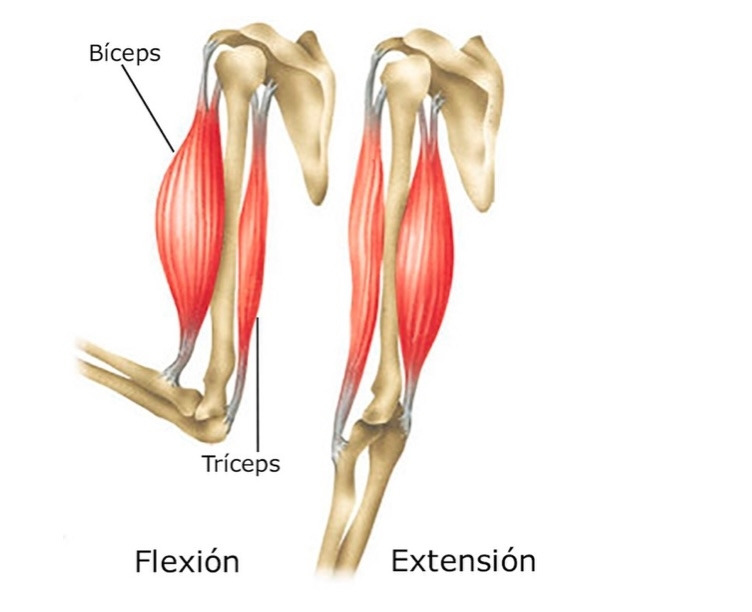 Screen Shot 2022-08-06 at 7.55.34 PM.jpg