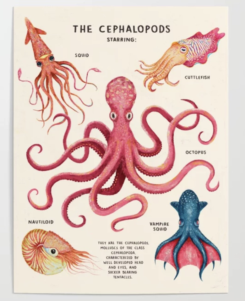 Screenshot 2023-08-05 at 2.27.32 AM.jpg