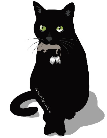 고양이의 선물.jpg