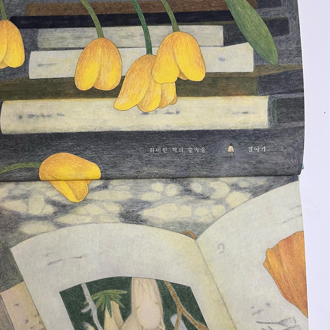 다운로드 (3).jpg