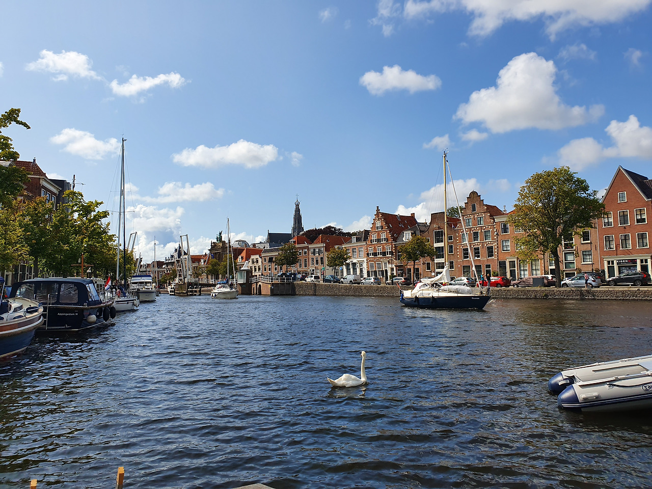 하를렘 전경.jpg