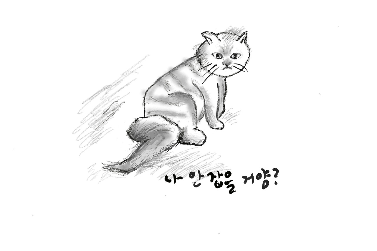 안 잡을 거얌.jpg