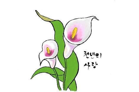 천년의사랑.jpg