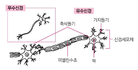 페이지 포함 파일 - 브런치 원고.jpg