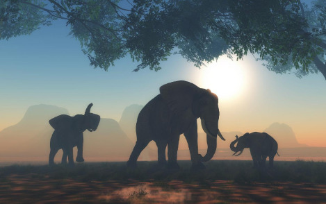3d-landscape-with-herd-elephants.jpg