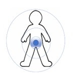 단전호흡과 지식.jpg