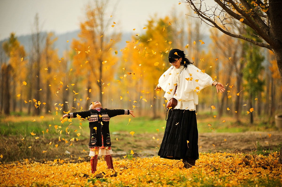 국화, 그리고 뜬금없는 대추 한 알#.jpg