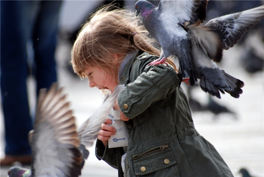 질서의 파괴#.jpg