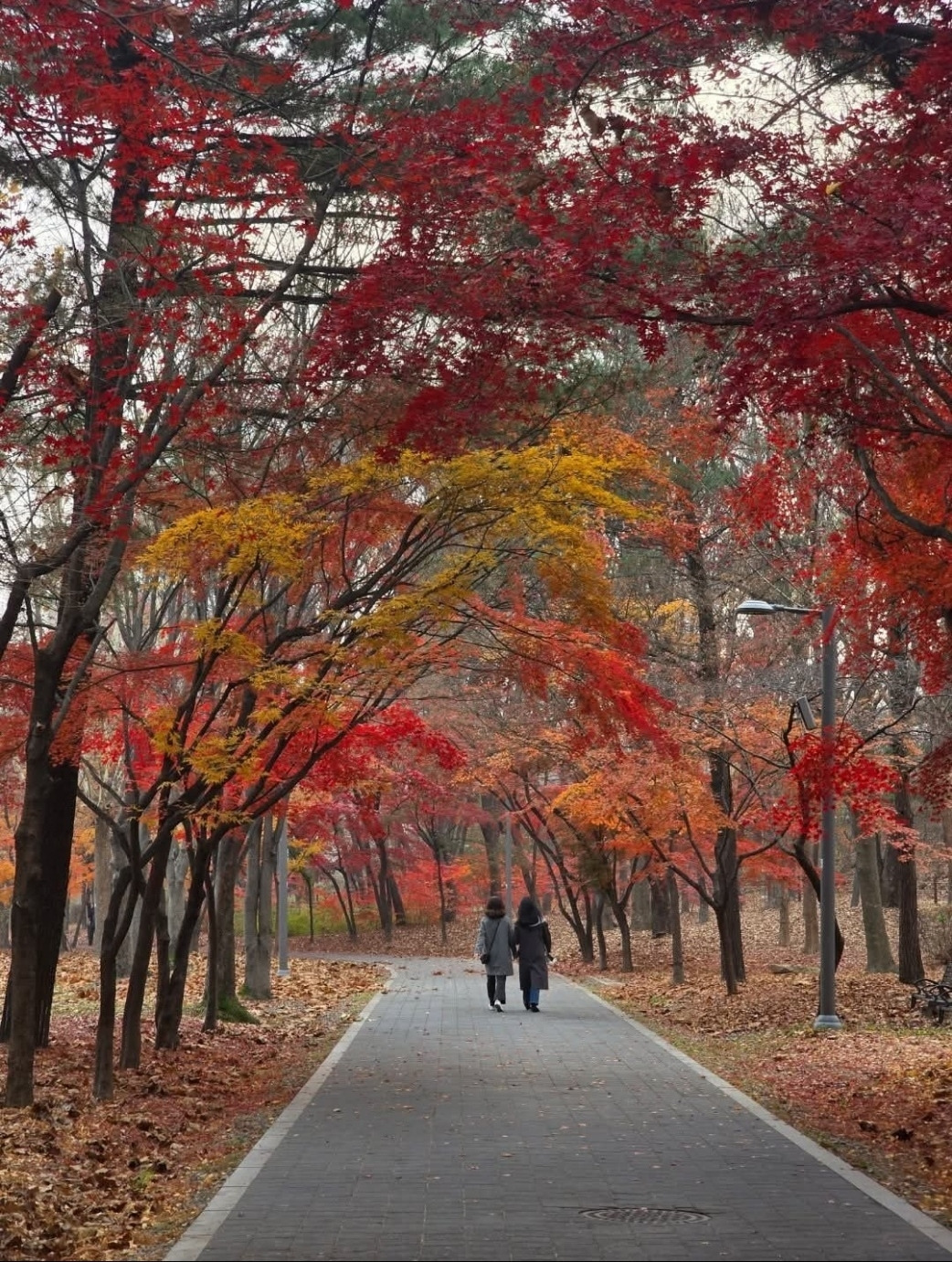 사람과 사람 사이.jpg