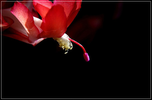 ‘우리’라는 말.jpg