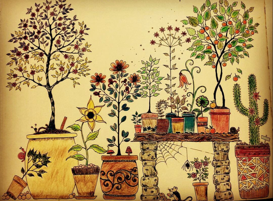 조해너 배스포드-'비밀의 정원.jpg