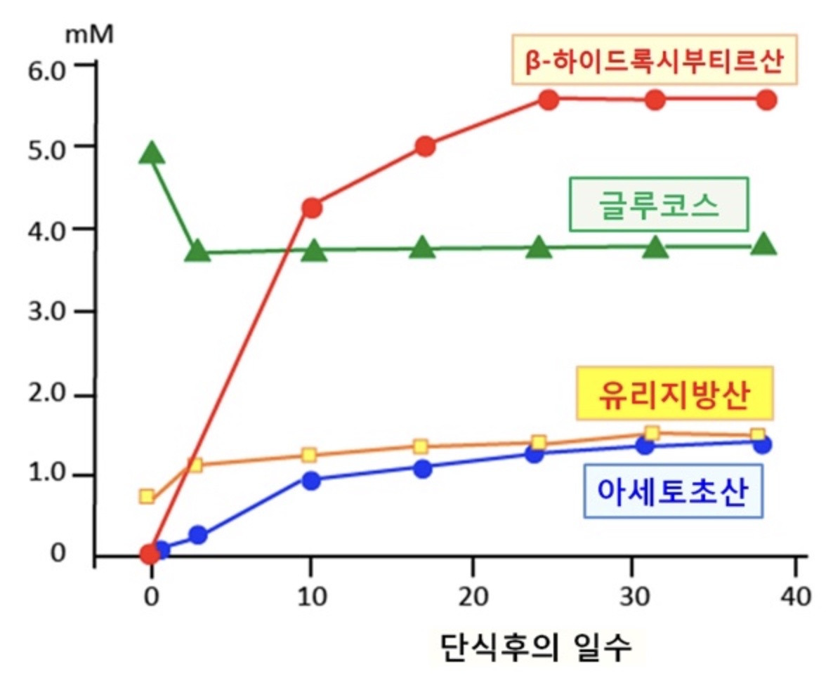 이미지 2023. 5. 10. 00.58.jpg