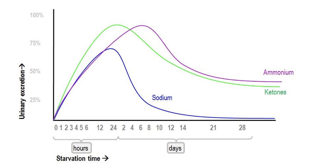 이미지 2023. 5. 10. 00.56.jpg