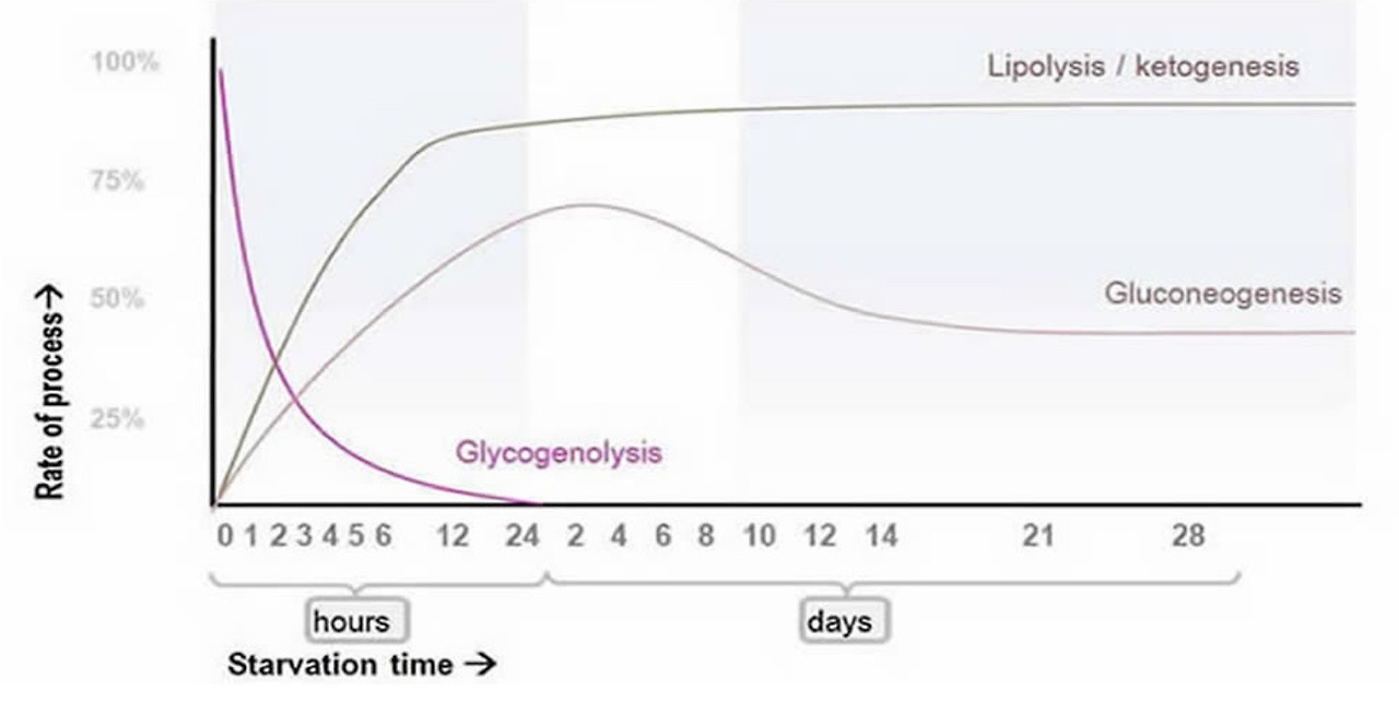 이미지 2023. 5. 10. 01.01.jpg