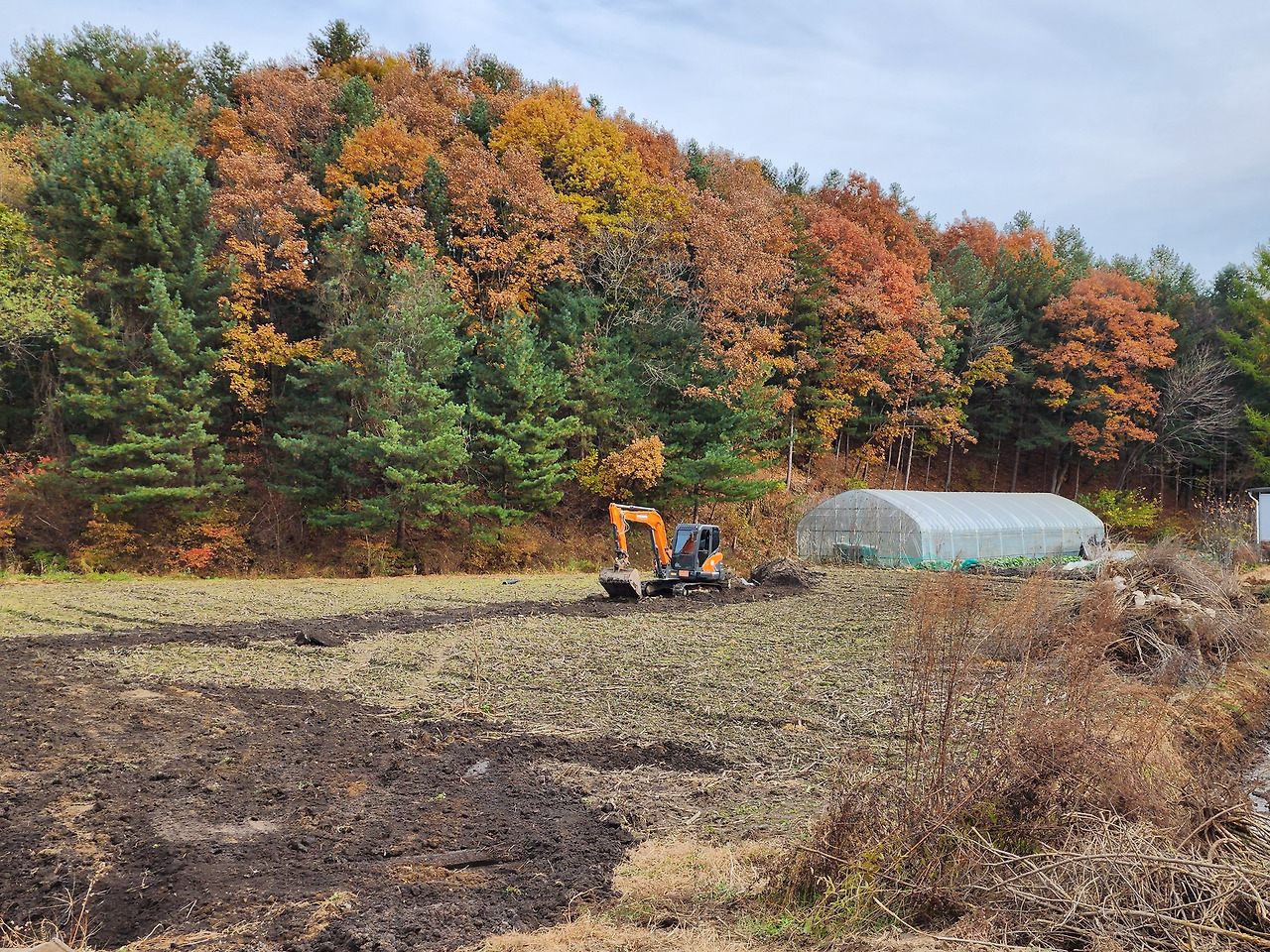 귀농 기초 작업_노지 밭 유공관 묻기_T자형태로 땅 파는 포크레인_20221026_155158.jpg