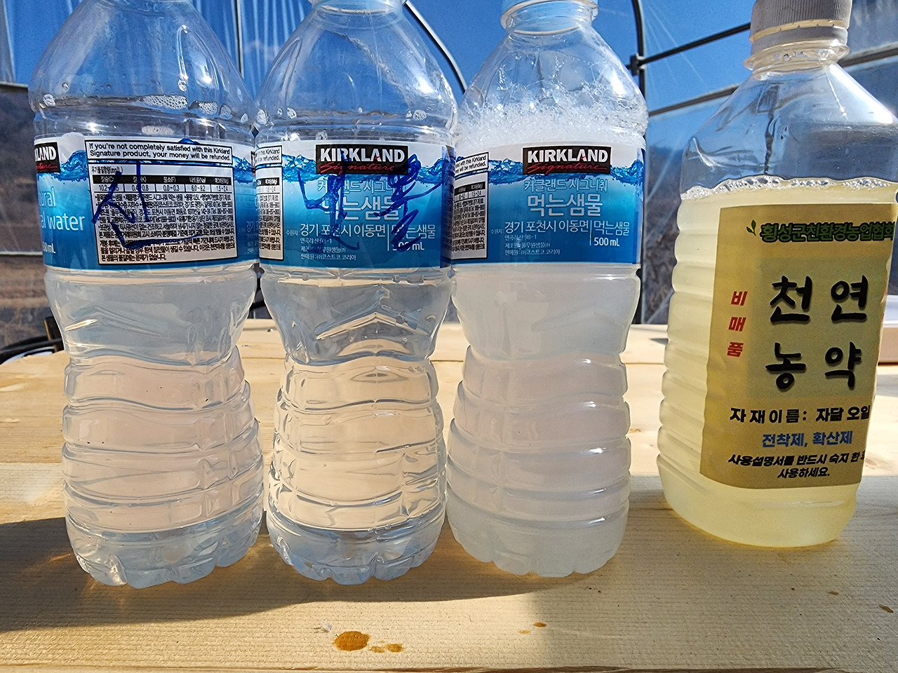 자닮오일을 이영한 연수테스트_20230220_130218.jpg