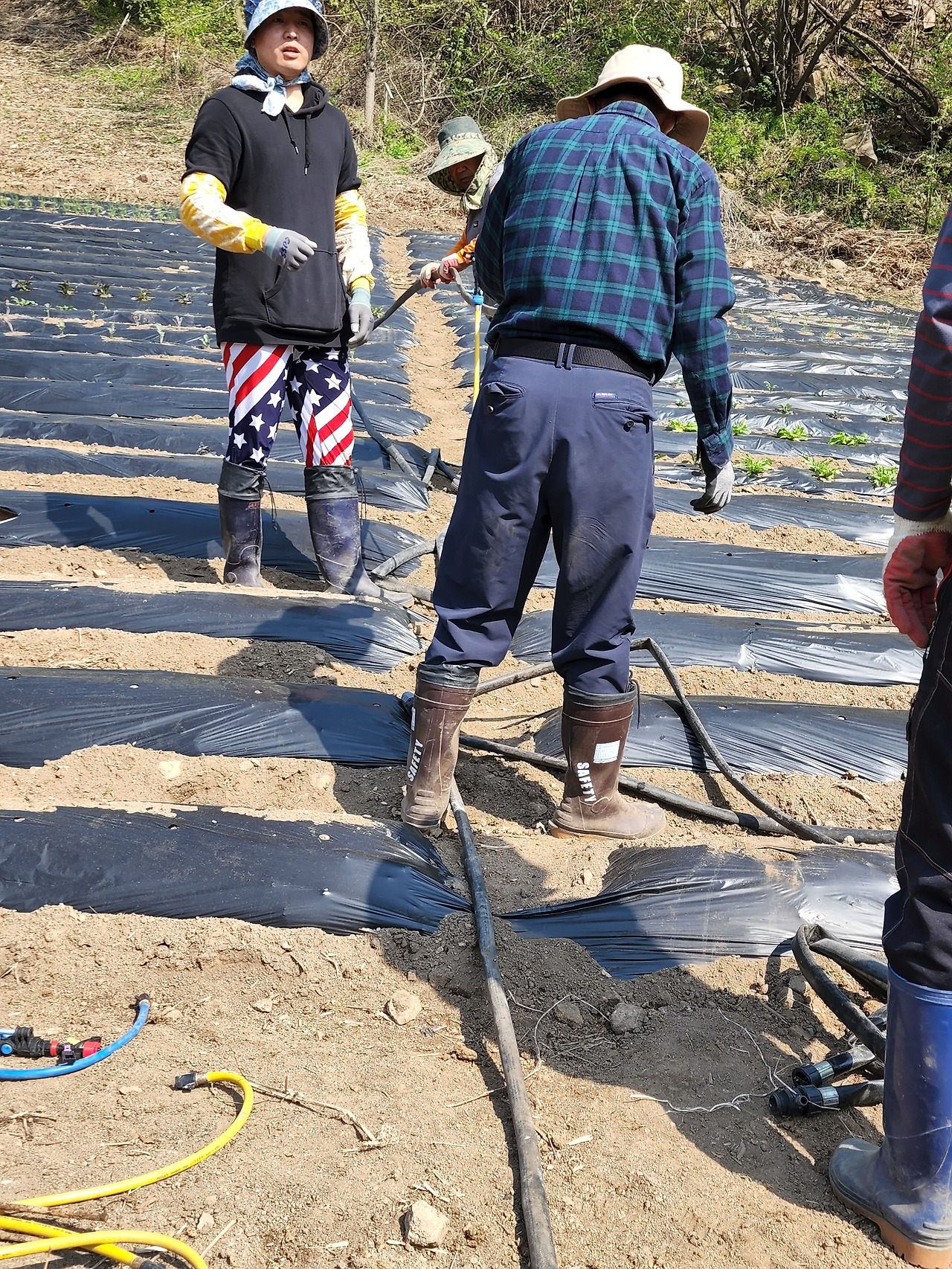 횡성 3주차 수요일_스프링쿨러 설치_20220504_150238.jpg