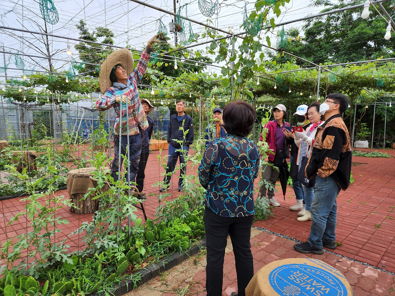 횡성 9주차_수요일_넝쿨링 카페_친환경 농업 설명하는 주인_1655267157488.jpg