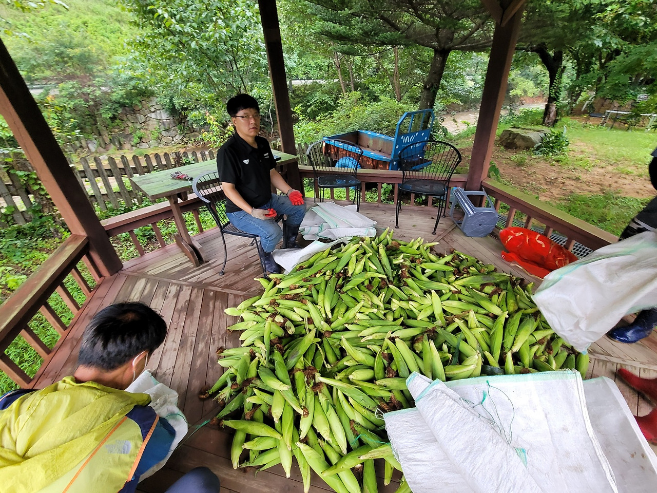 횡성 17주차 수요일_교장선생님 지인 판매분 옥수수 포장_20220810_1660120318256.jpg