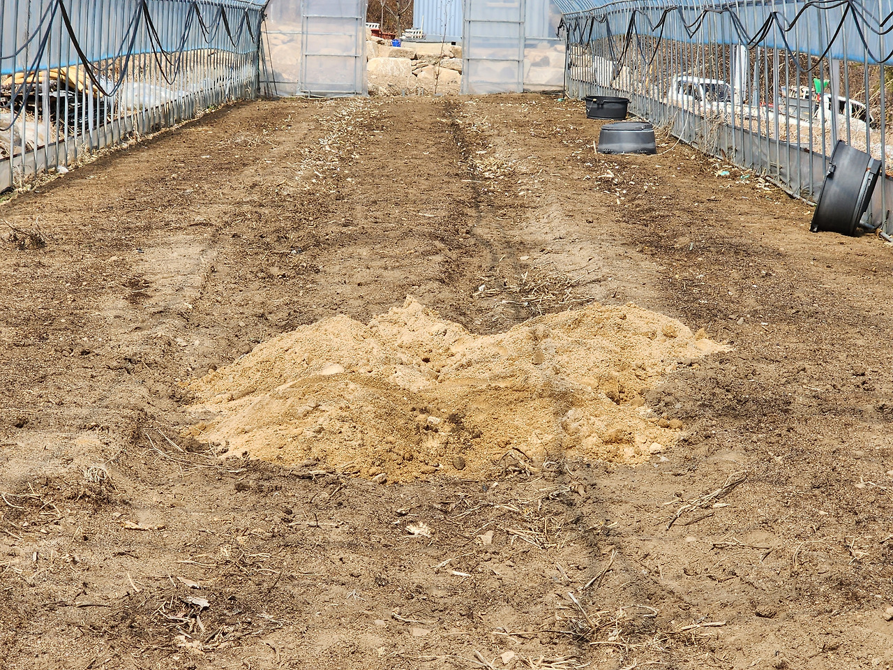 하우스 파인 부분에 마사토 채우기_20230322_135455.jpg