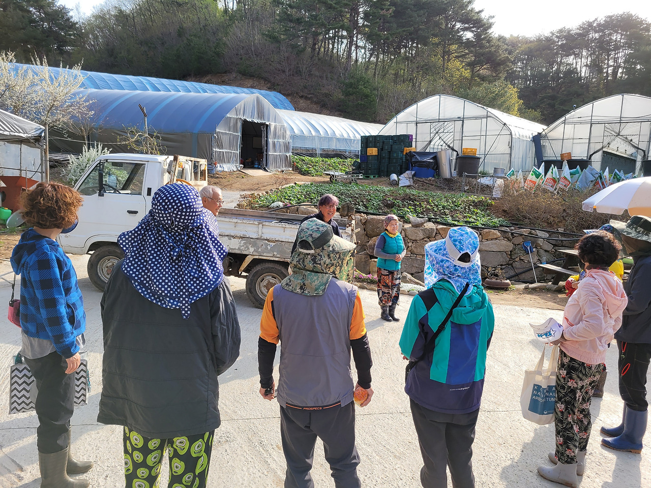 횡성 2주차_목요일_팀장님 언니네 곰취밭 잡초 뽑기_시작전 안내 설명_1651124416253.jpg