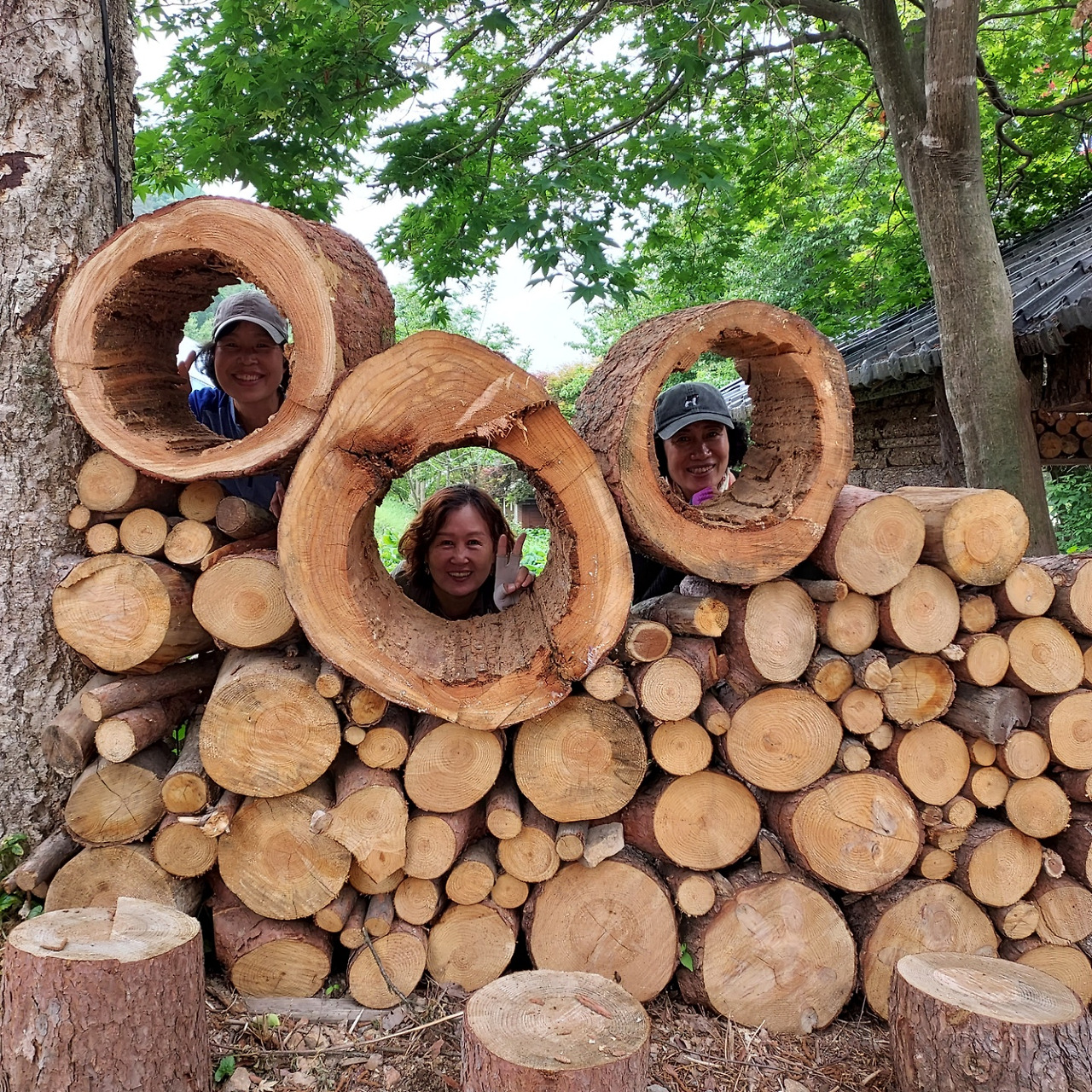 횡성 8주차_목요일_구멍뚫린 통나무에서 여자동료들 사진 한 컷_20220609_1654745554851.jpg