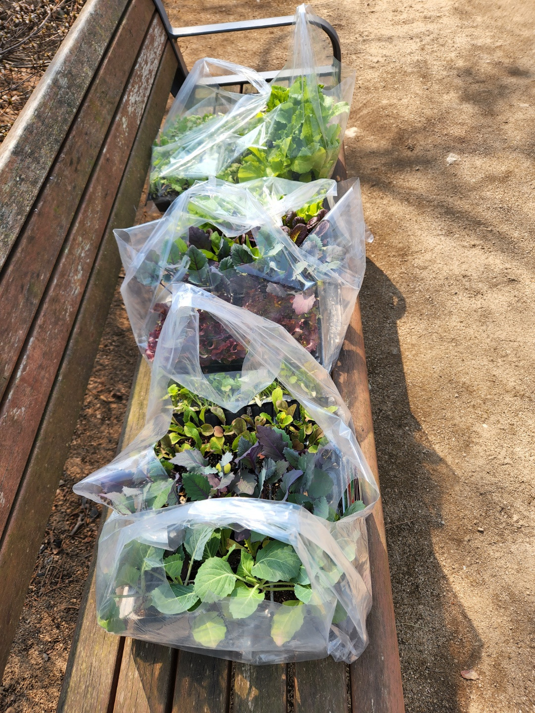 횡성 1주차_둔내 종묘상_종묘 구입 4_1650282858326.jpg