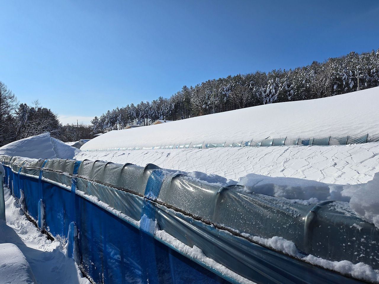 폭설로 주저앉은 하우스_외부모습_20241129_113731.jpg