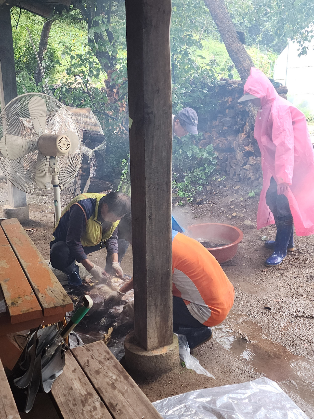 횡성 21주차 월요일_회식_닭털을 벗기는 남자동료들_20220905_153642.jpg