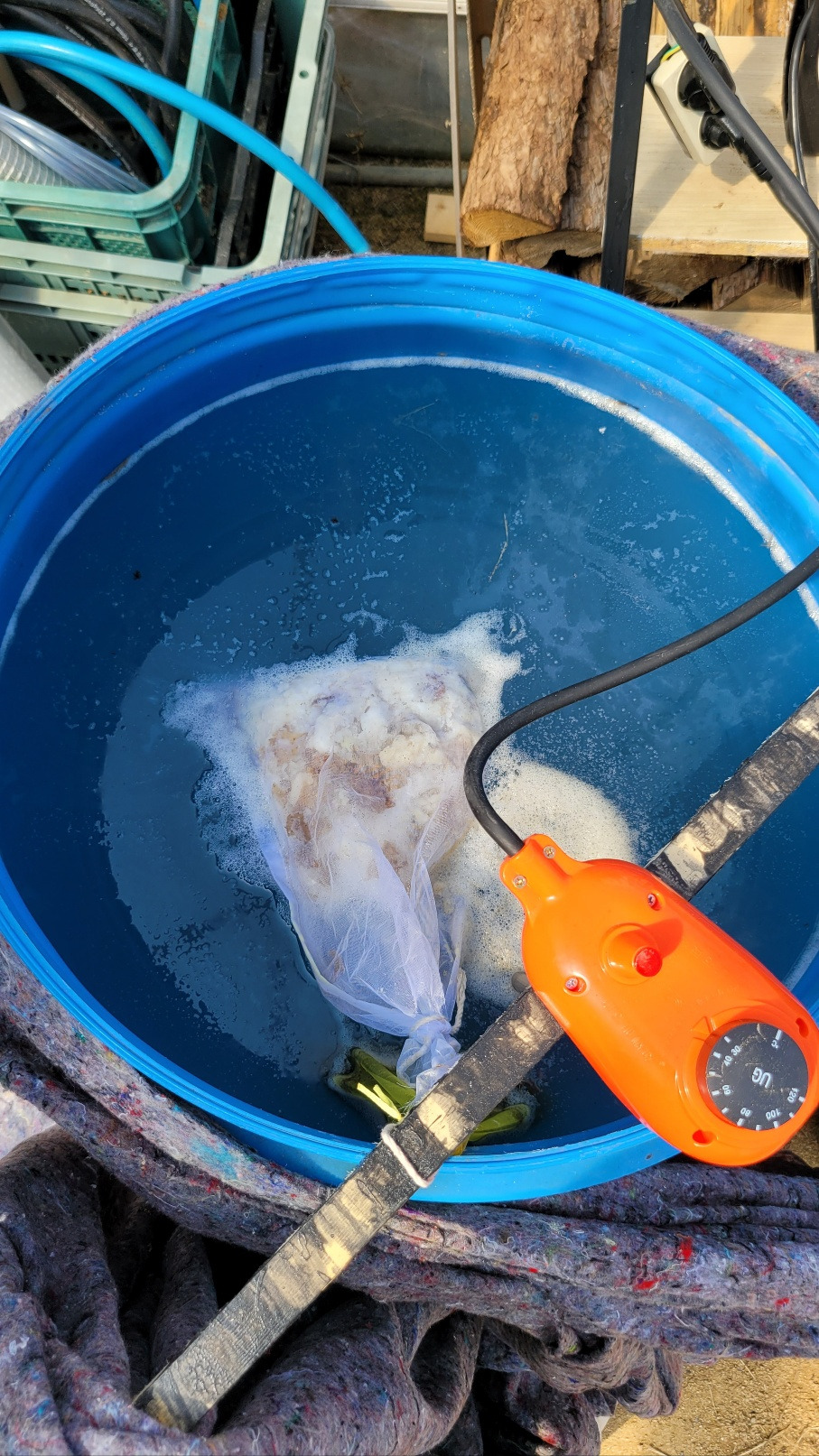 미생물 배양액 진행상태_70센티 돼지꼬리 이용_20230222_1679460805846.jpg