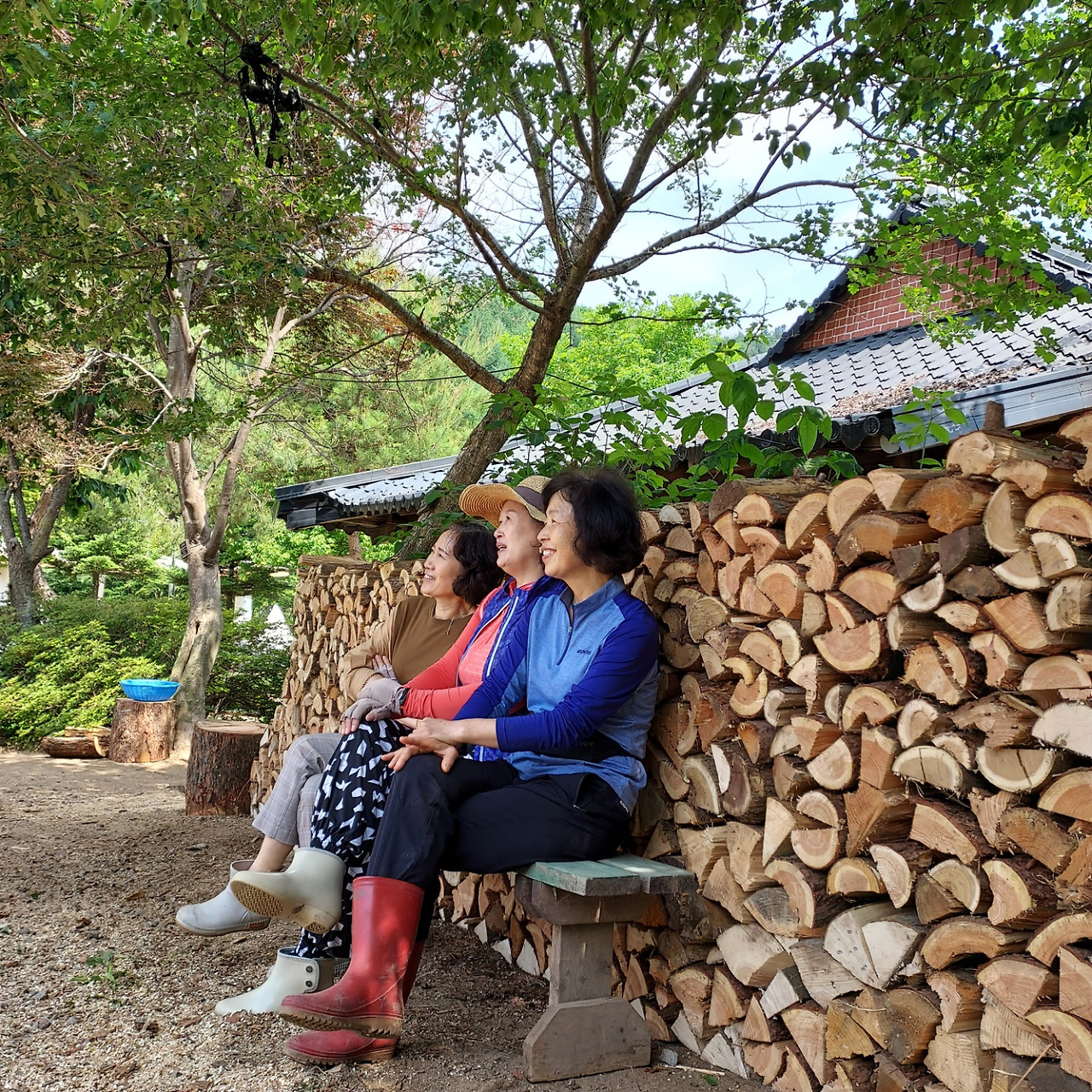 횡성 8주차_목요일_쌓여진 장작 벽앞에서 여자동료들의 사진 한컷_20220609_1654825786876.jpg