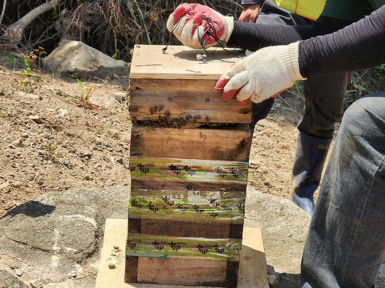 횡성 7주차_화요일_분봉완료_20220531_114747.jpg