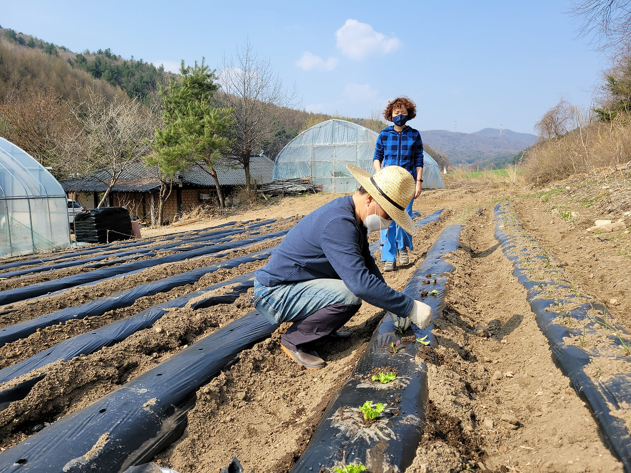 횡성 1주차_텃밭에 종묘 심기_1650282129512.jpg