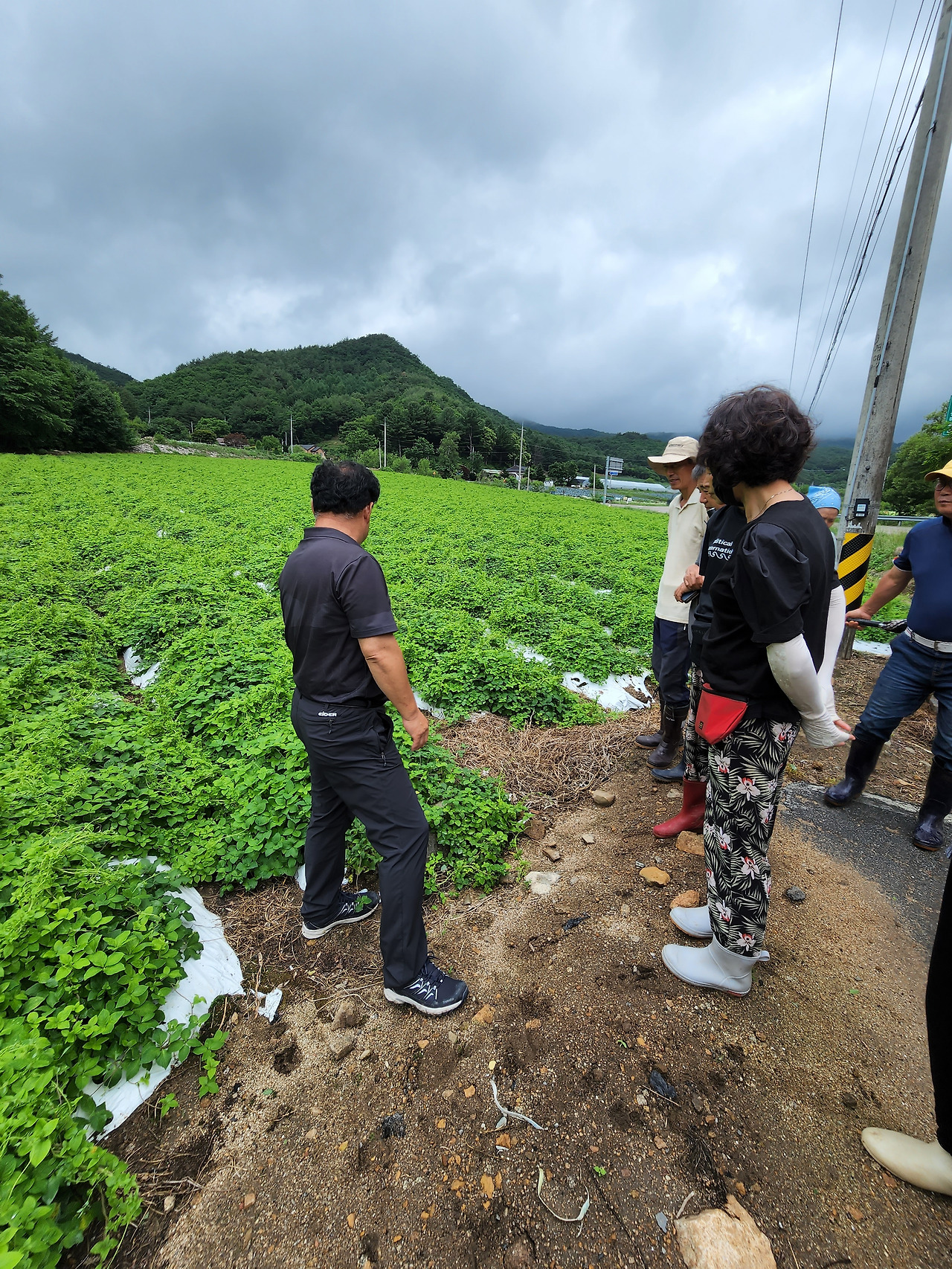 횡성 11주차 수요일_더덕농사꾼의 더덕밭 교육_20220629_150709.jpg