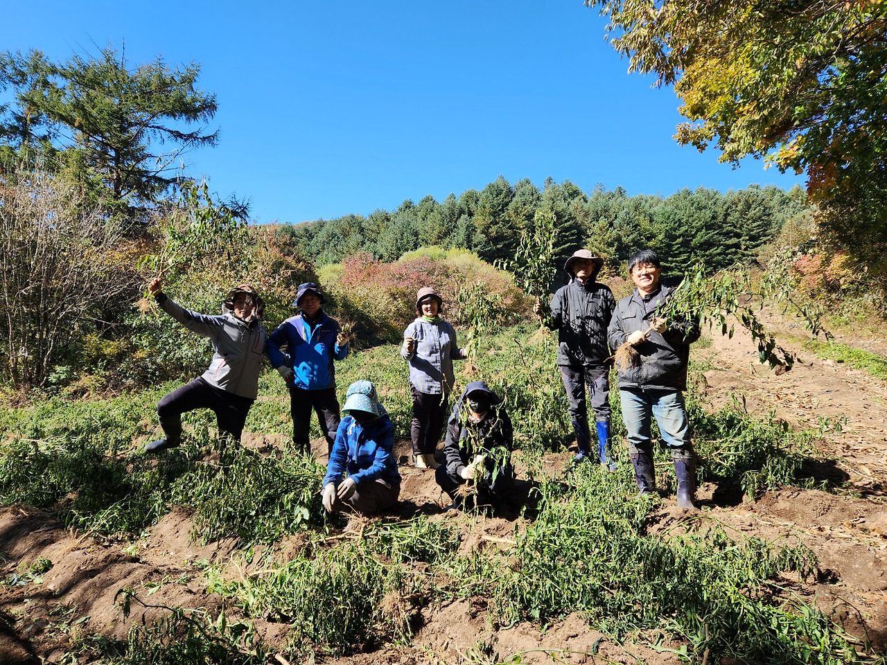 횡성 27주차 수요일_꽈리고추 밭에서 마지막 단체 사진_20221019_1666161469948.jpg