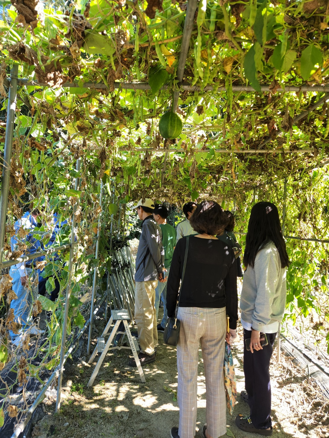 횡성 23주차 수요일_원주 배영국사장님 전원주택 방문_밭 덕장에서 키운 호박 오이 콩 등_20220921_1663757650461.jpg