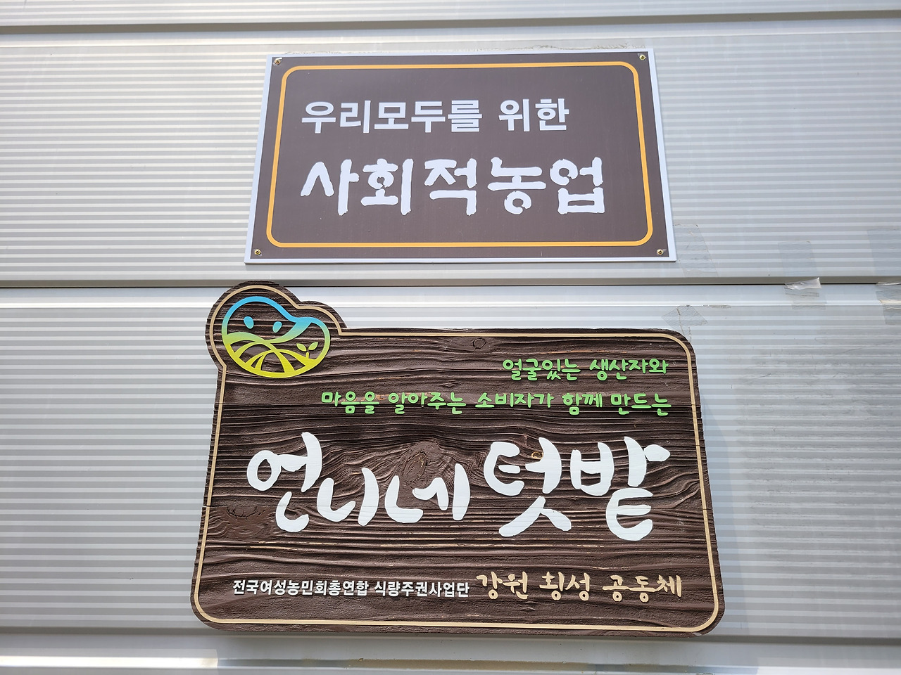 횡성 1주차_언니네 텃밭_모토_1650282128532.jpg