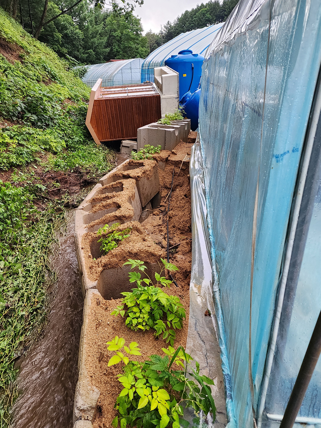 폭우로 넘어져버린 화장실_20240723_073548.jpg