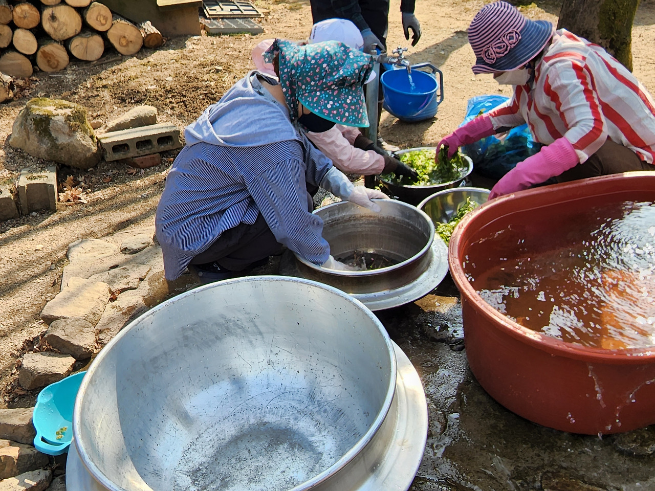 횡성 1주차 화요일_회식준비_산나물 씻기_20220419_152242.jpg
