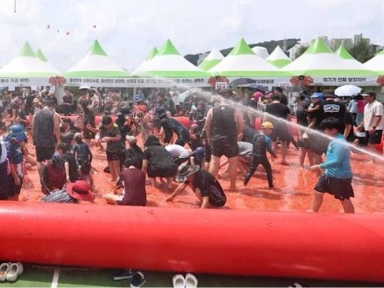 둔내 토마토 축제 사진_토마토 수영장에서 노는 관중들_20250814.jpg