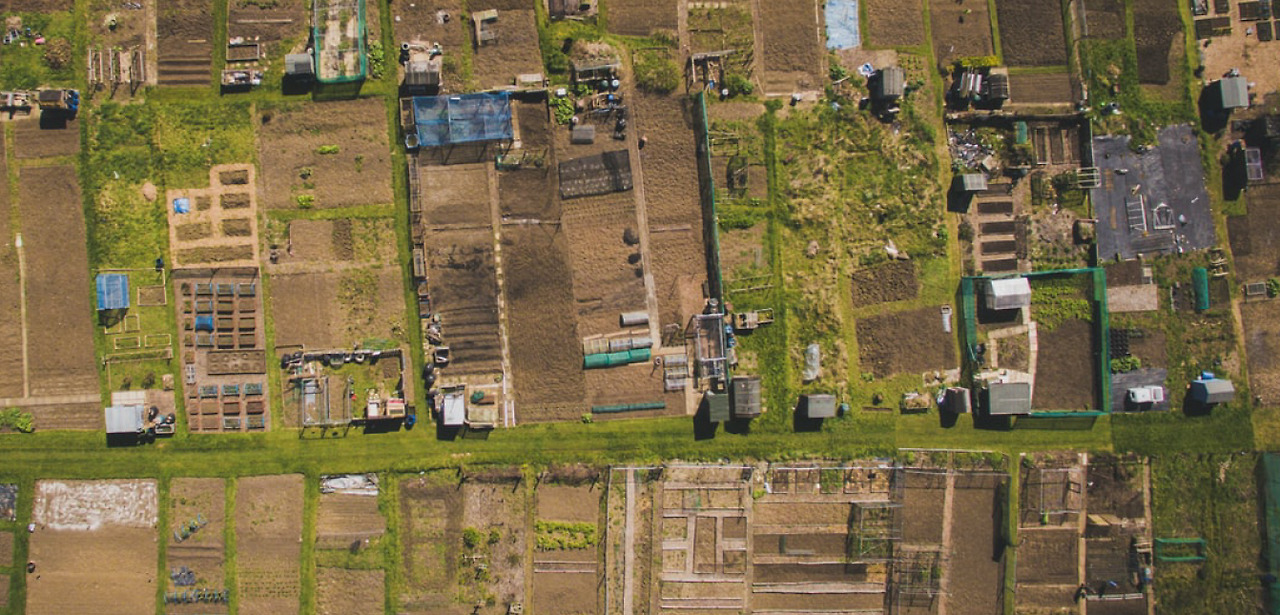 콩세알농장_지역 친환경작목회 지원_20240306.jpg