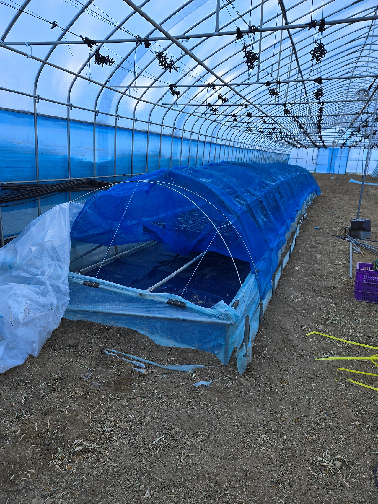 완성된 육묘틀_20250211.jpg