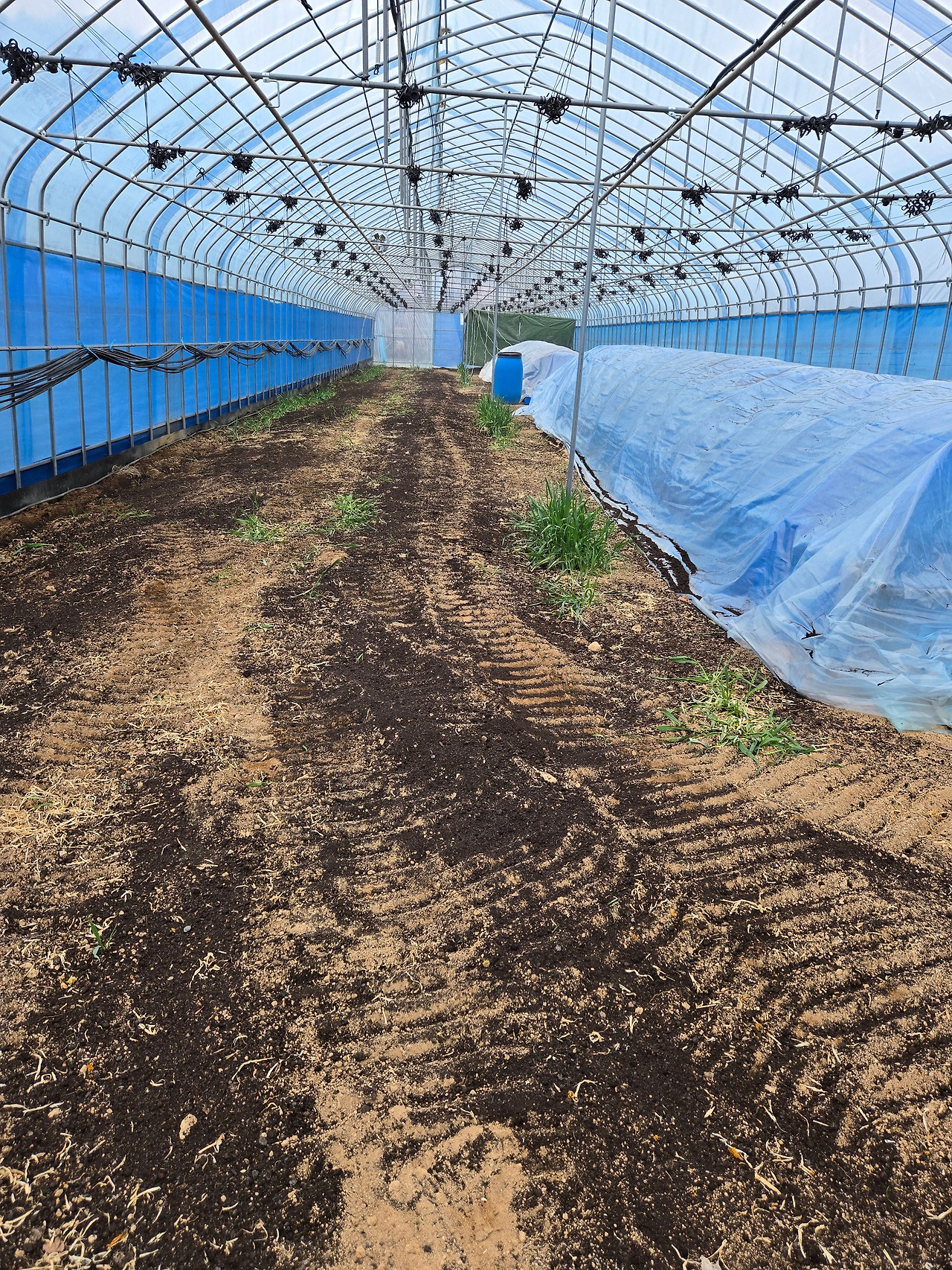 하우스에 퇴비 살포기로 작업한 뒤 사진_20250412_161414 (1).jpg