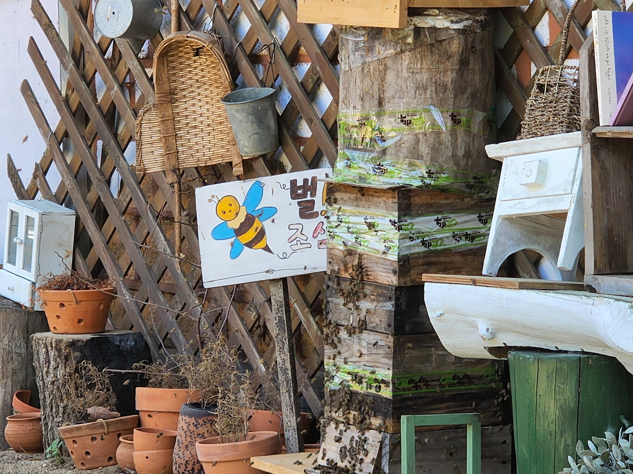 횡성 7주차_화요일_분봉하기 전 벌통 모습_20220531_112936.jpg