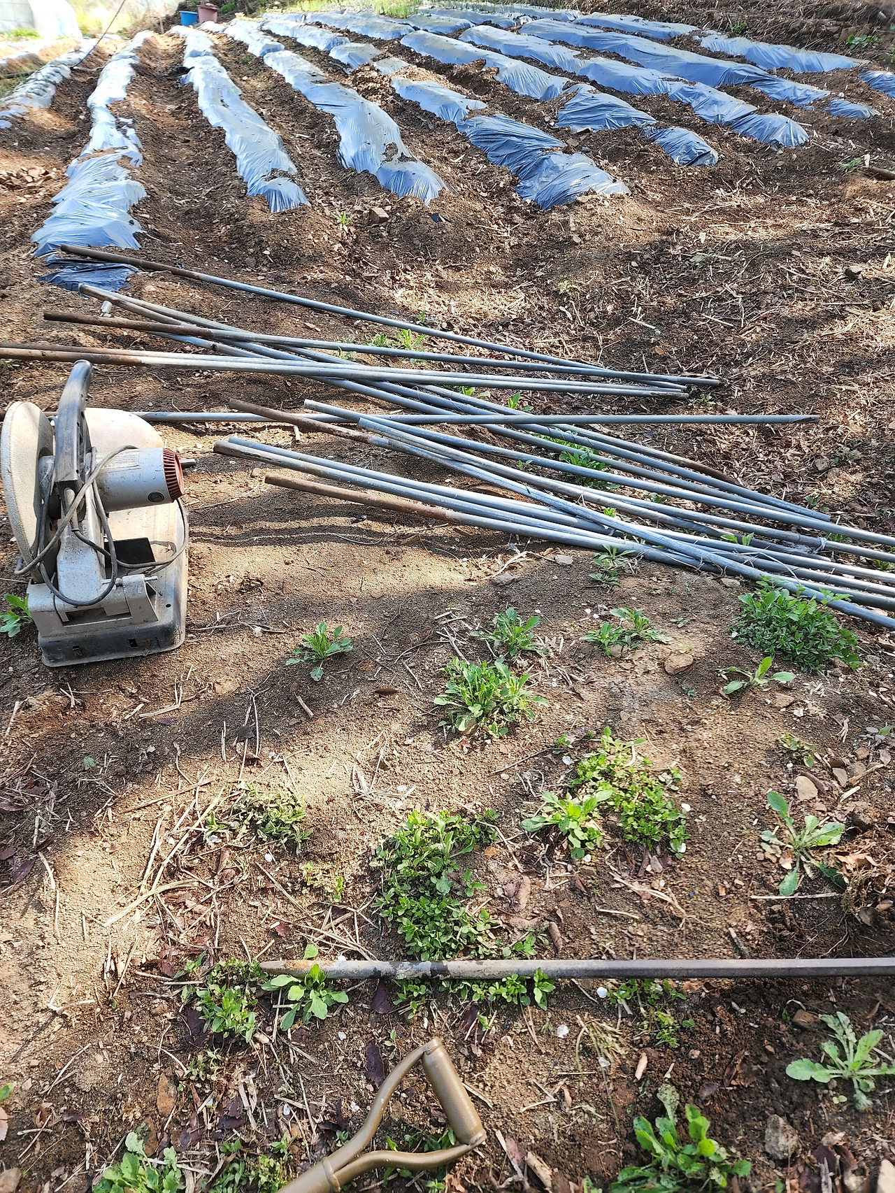 횡성 3주차 목요일_닭장 만들기 준비_20220505_085520.jpg