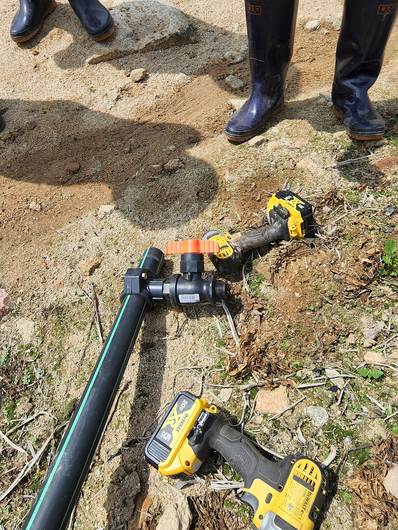 횡성 10주차_월요일_대표님 감자밭의 관수설비 설치하기_지류 호스 연결구 조립_20220620_104711.jpg