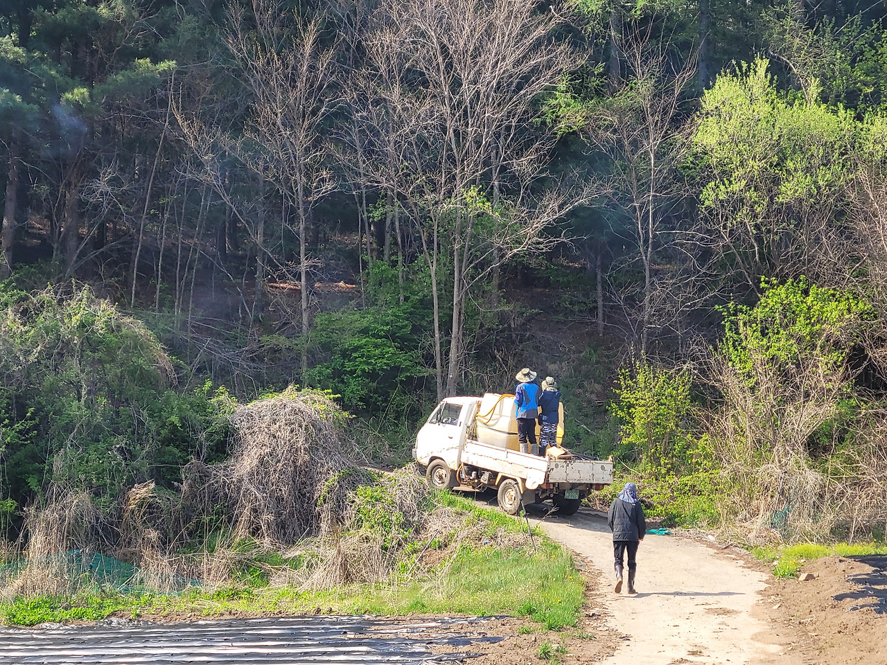 횡성 3주차_월요일_다목적용 트럭으로 이동_20220502_1651484513161.jpg