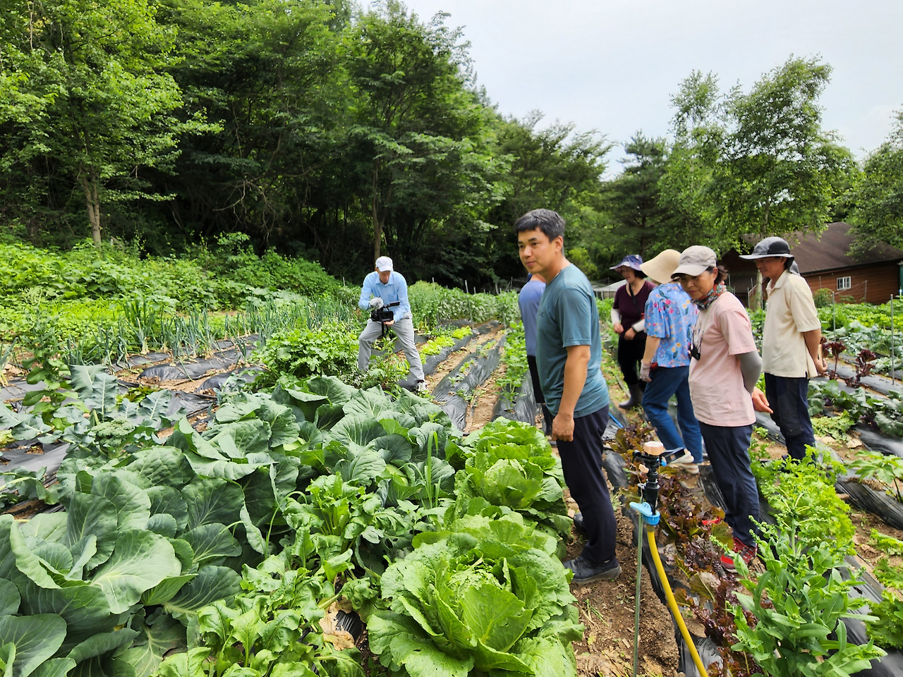 횡성 13주차 화요일_병충해 방제 수업을 찍는 터키 tv_20220712_145353.jpg