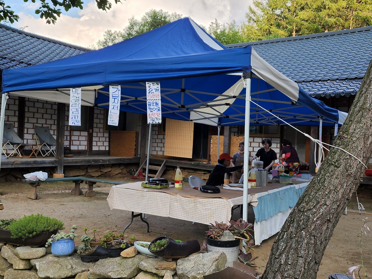 횡성 15주차 금요일_축제 준비_감자전 판매 준비하는 여자동료들_20220729_183400.jpg