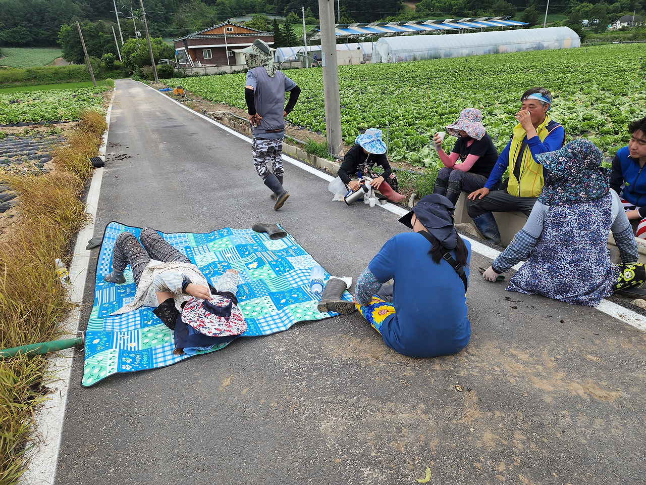 횡성 10주차 목요일_송사장 옥수수 정식_세번째 밭 정식중 점심식사 후 퍼져버린 선미씨_20220623_123233.jpg